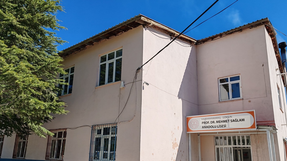 Ericek Prof. Dr. Mehmet Sağlam Anadolu Lisesi Fotoğrafı